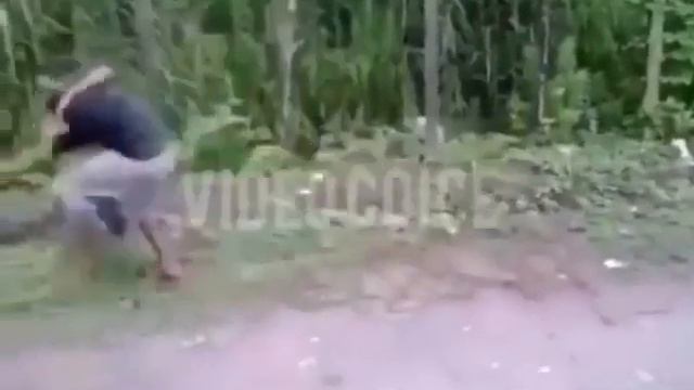 влетел