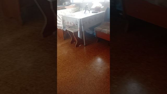 Я В ШОКЕ КАК МНЕ ЖИТЬ,ЕСЛИ ДАЖЕ ПРОЕХАТЬ НЕ МОГУ ЩАС,ИМ ВСЁ РАВНО НА МЕНЯ.
