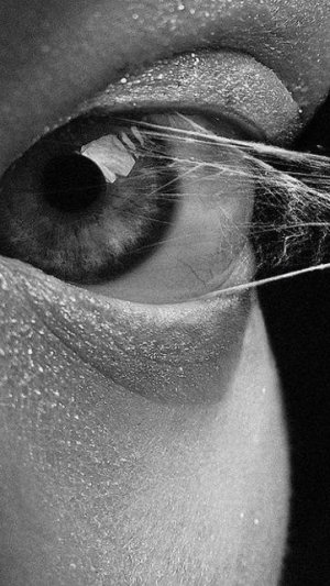 SnarkWhite feat AI - Тысячи-тысячи маленьких глаз -horror version©