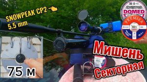 Секторная мишень 75 метров