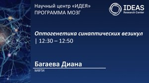 Оптогенетика синаптических везикул