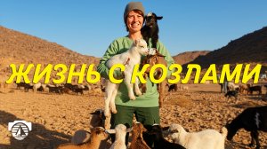 Кто такие кочевники и как они выживают в пустынях?