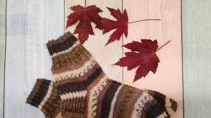 СП «Носочный бум 7». Четвертый отчет.