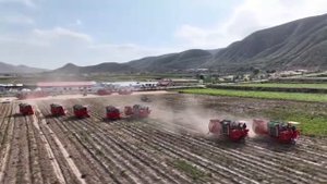 🚜В Китае используют новейшую технику для сбора урожая