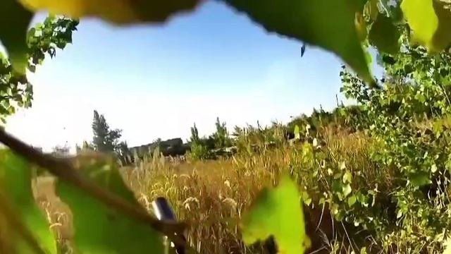 СВО👉ЖМИТЕ СЮДА👈