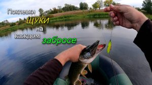 Отличная рыбалка на щуку в конце сентября. Поймал более 35 щук за утро. Часть 2