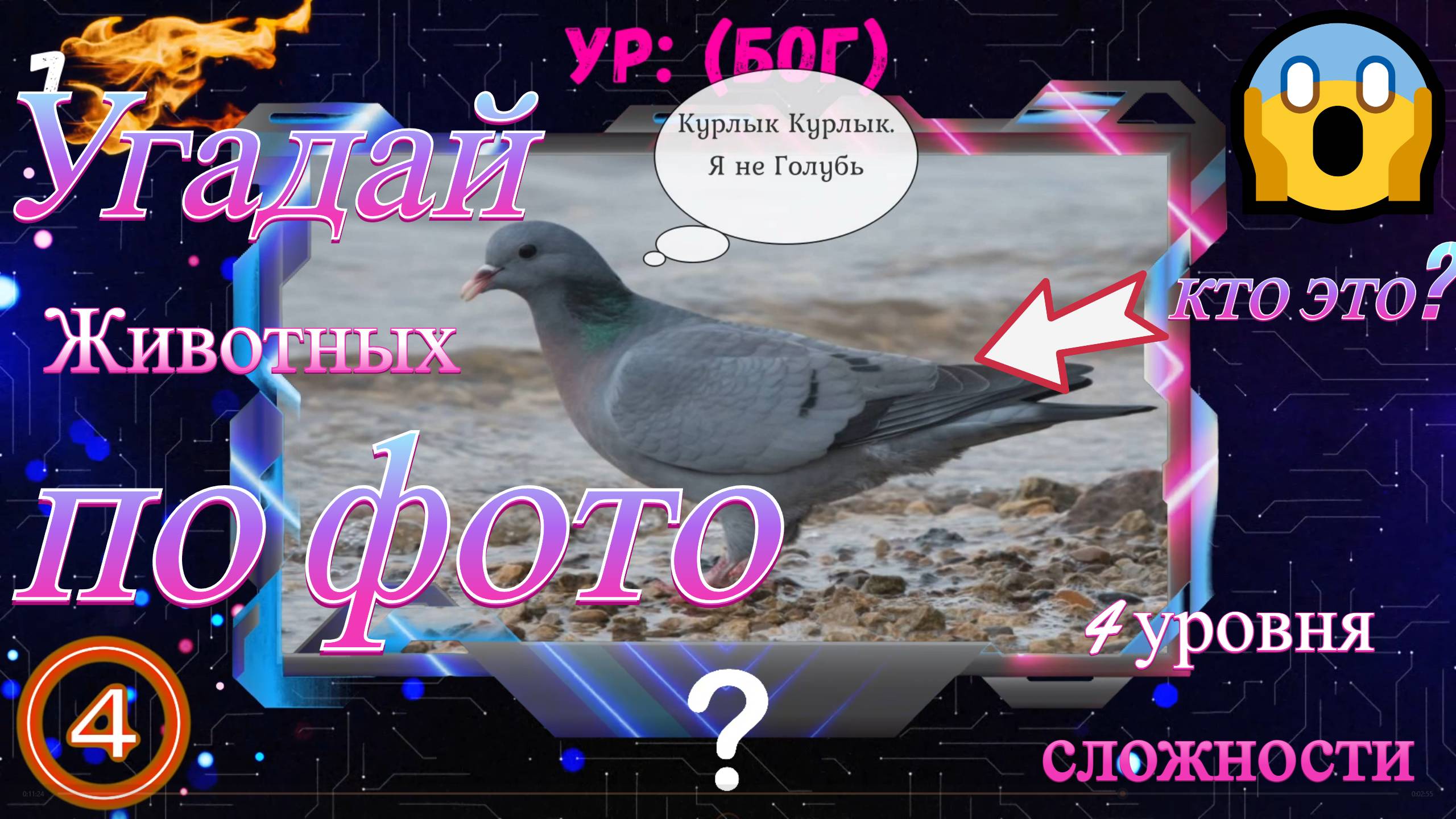Попробуй угадать животных, Квиз по животным, угадай по картинке