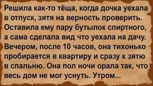 Как тёща зятя на верность проверяла. Сборник анекдотов
