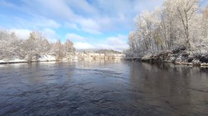 Затерянный карбон 13. Октябрь на болоте.