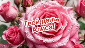 С днём рожденья, Алиса!