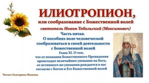 Илиотропион. Часть V, глава XI.
