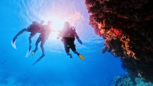 Рас Мохамед дайвинг шарм эль шейх