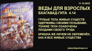 Веды для взрослых. Бхагавад-гита 4.14