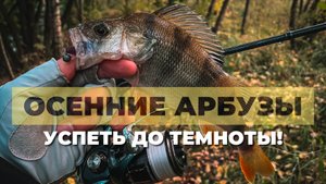НЕ ЗРЯ ПРОВЕРИЛ ЭТУ РЕЧКУ! ОКУНЬ и ГОЛАВЛЬ на микроджиг и мормышинг. Осенняя рыбалка на спиннинг.