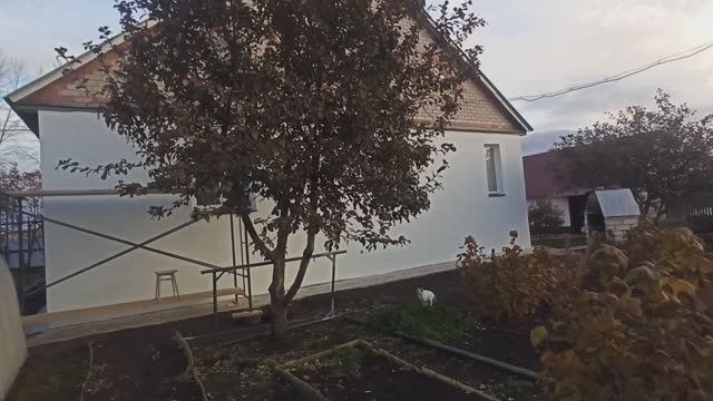 Мои осенние будни. Ответ на то, куда я пропал