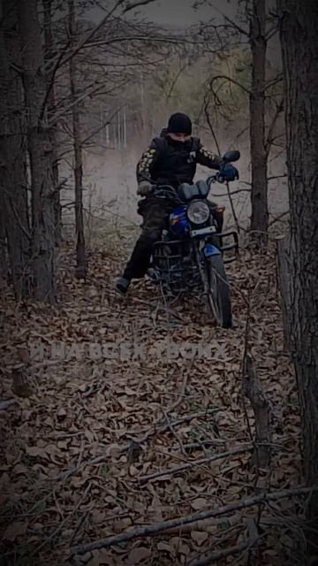 расер смотреть онлайн