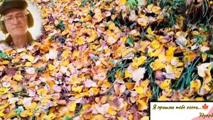 Я пришлю тебе осень 🍁