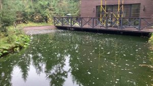 Новости с пруда.Подготовка к зиме.