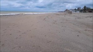 Новости с пляжей Любимовки. Выпуск 11.10.2025г.