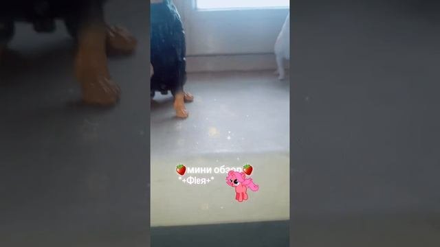 |мини обзор| на фигурки собак| 🍓(клубничка)🍓