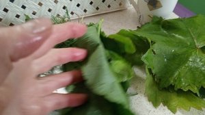 Варю борщ.  Похвастушка