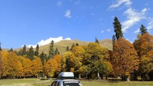 На Студенческой поляне