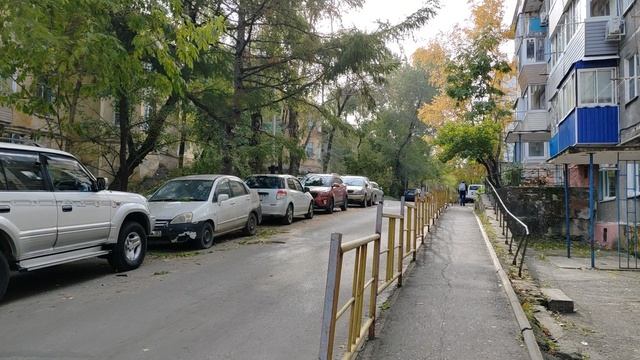 487. Хабаровск. Бойко-Павлова 2 - Джамбула 87. 11.10.25.
