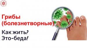 Грибы (болезнетворные). Как жить.