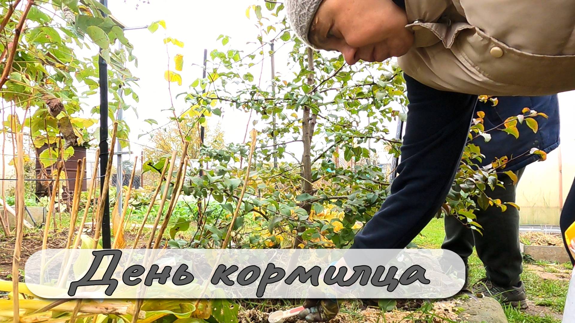 День кормильца