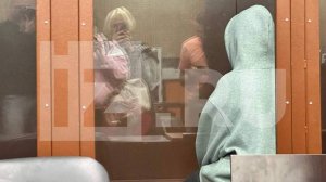 Суд арестовал чиновницу Елену Никитину на два месяца