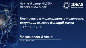 Клеточные и молекулярные механизмы регуляции высших функций мозга