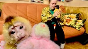 Так СМЕШНО! Алина делает все, что хочет Финик и Анфиса, я же пытаюсь их воспитывать, а не баловать)