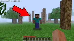 играю на самой стрёмной версии майна Alpha 1.2.3_03 (remastered)