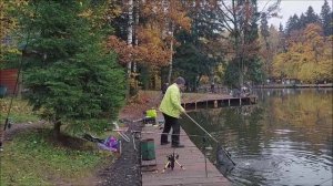 Поимки форели на актив и пассив. Клёвое место, Лосиный остров, нижний.