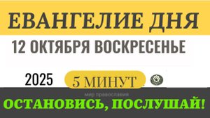 12 октября воскресенье Евангелие дня 2025 с толкованием #евангелие (5 минут)