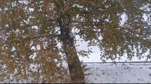 ВСЕМ ДОБРОЕ УТРО) Пробег по вопросам)