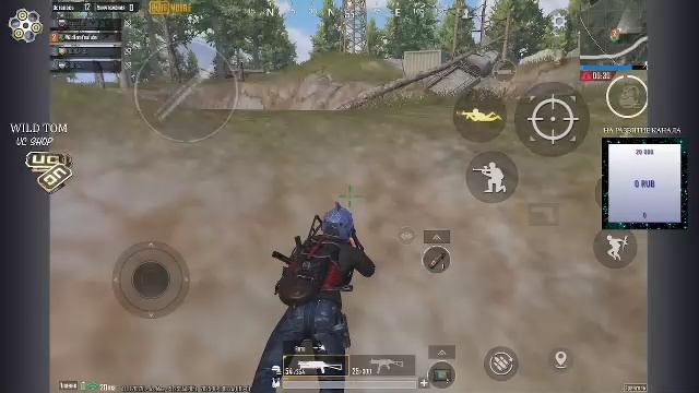 LIVE: WildTom_YouTube