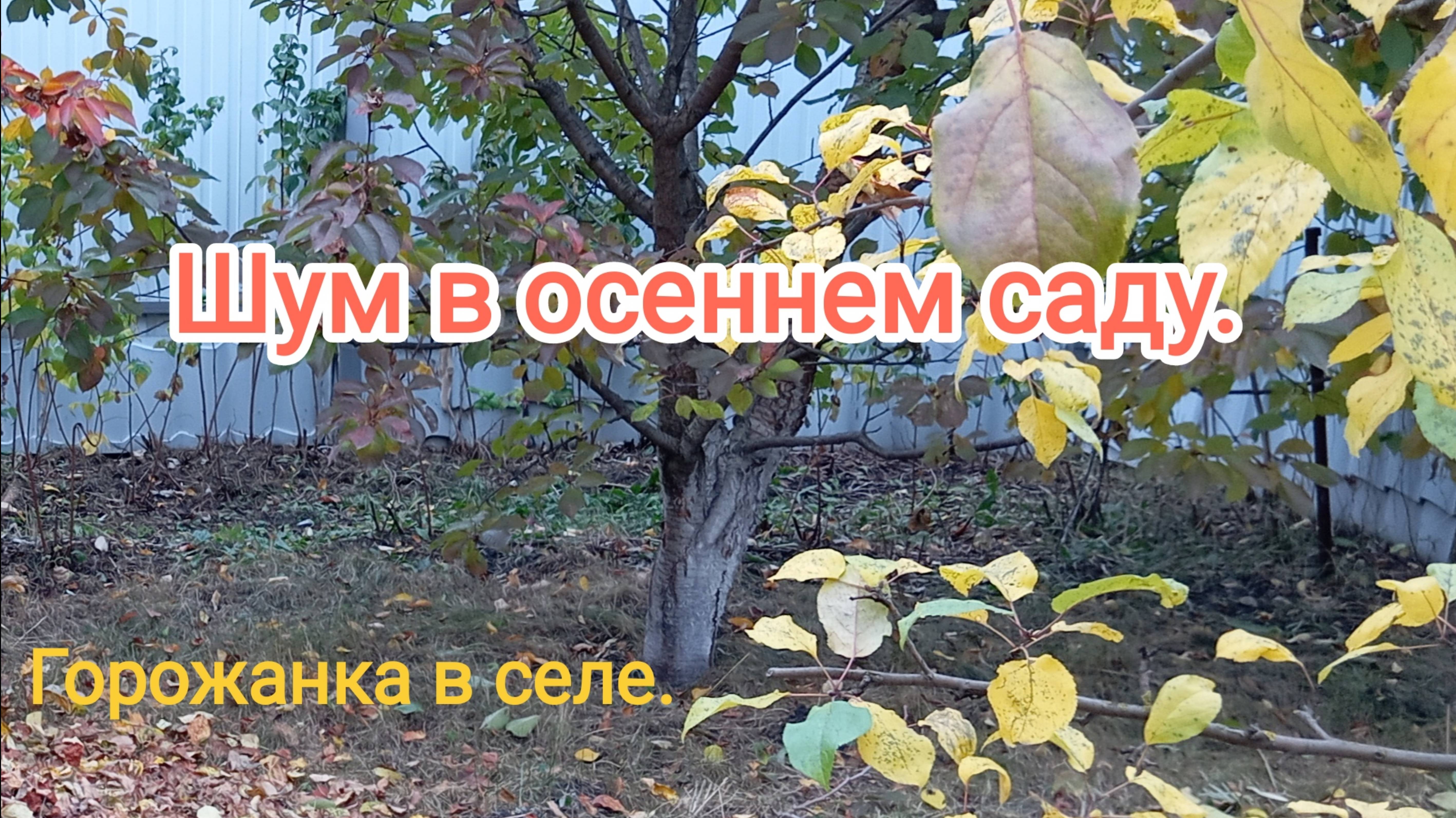 Шум в осеннем саду.