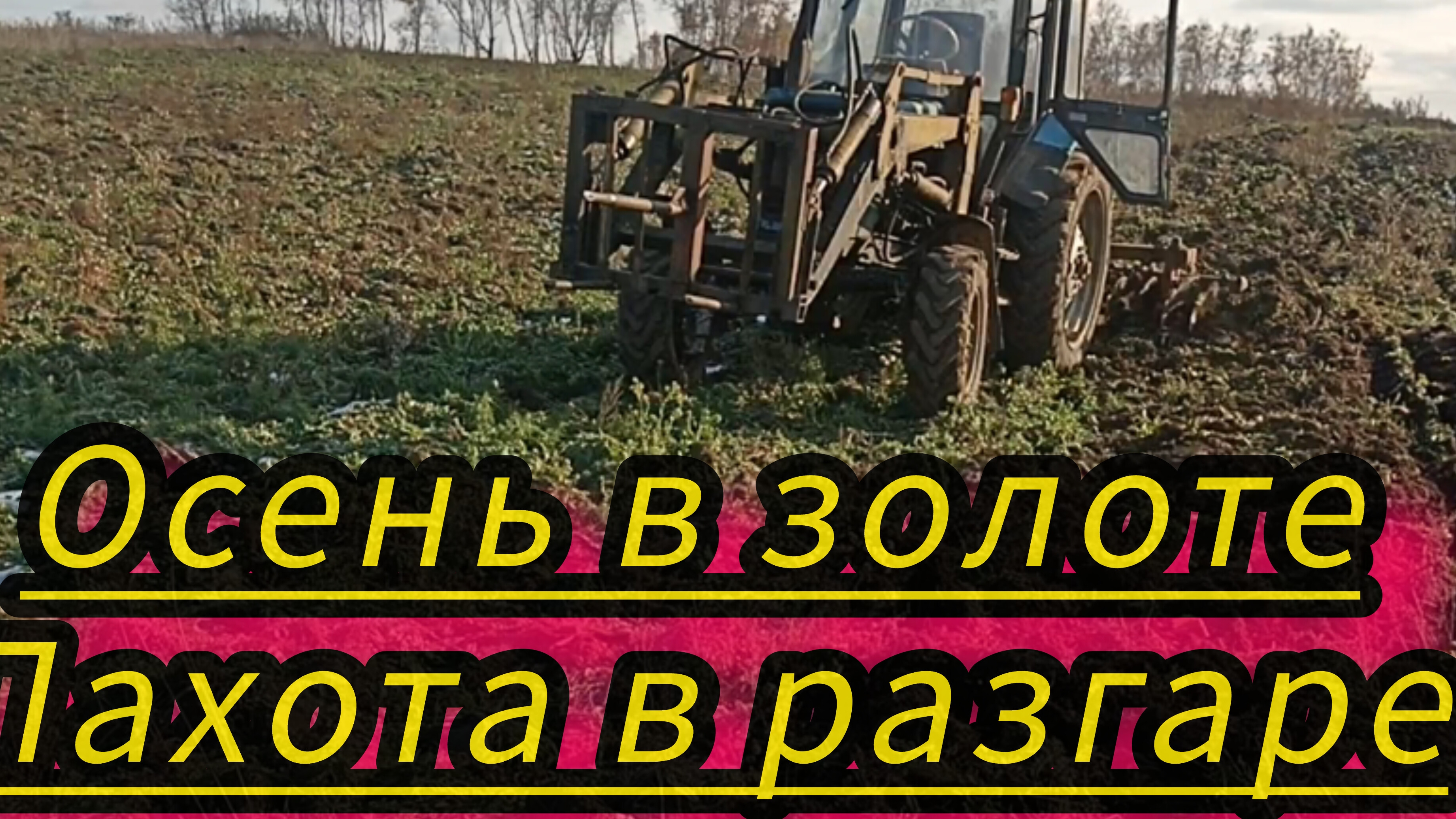 Подготовка восьми гектар к весеннему севу с помощью трактора МТЗ-82 и БДТ самодельной.