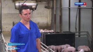 От буренки до полки: кто на самом деле отвечает за качество ваших продуктов?