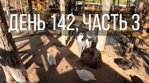 День 142, часть 3
