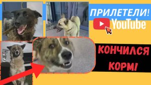 Прилетели в Москву! А накормить надо всех...