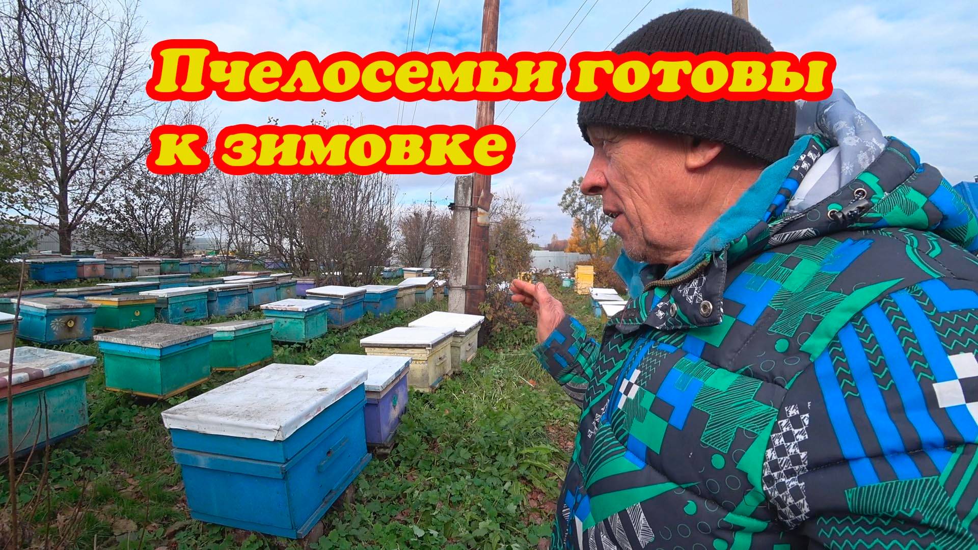 ПАСЕКА ГОТОВАЯ К ЗИМОВКЕ, СИЛА ОТВОДКОВ И ПЧЕЛОСЕМЕЙ В ЗИМУ.