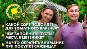 Томатное варенье | Как украсить опустевший цветник? | Как правильно выбрать саженцы? Дача