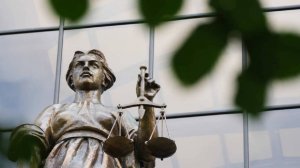 В деле о покушении на Симоньян появилась новая статья