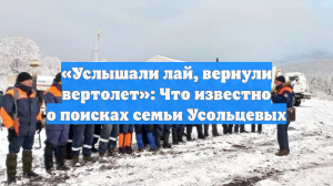 «Услышали лай, вернули вертолет»: Что известно о поисках семьи Усольцевых