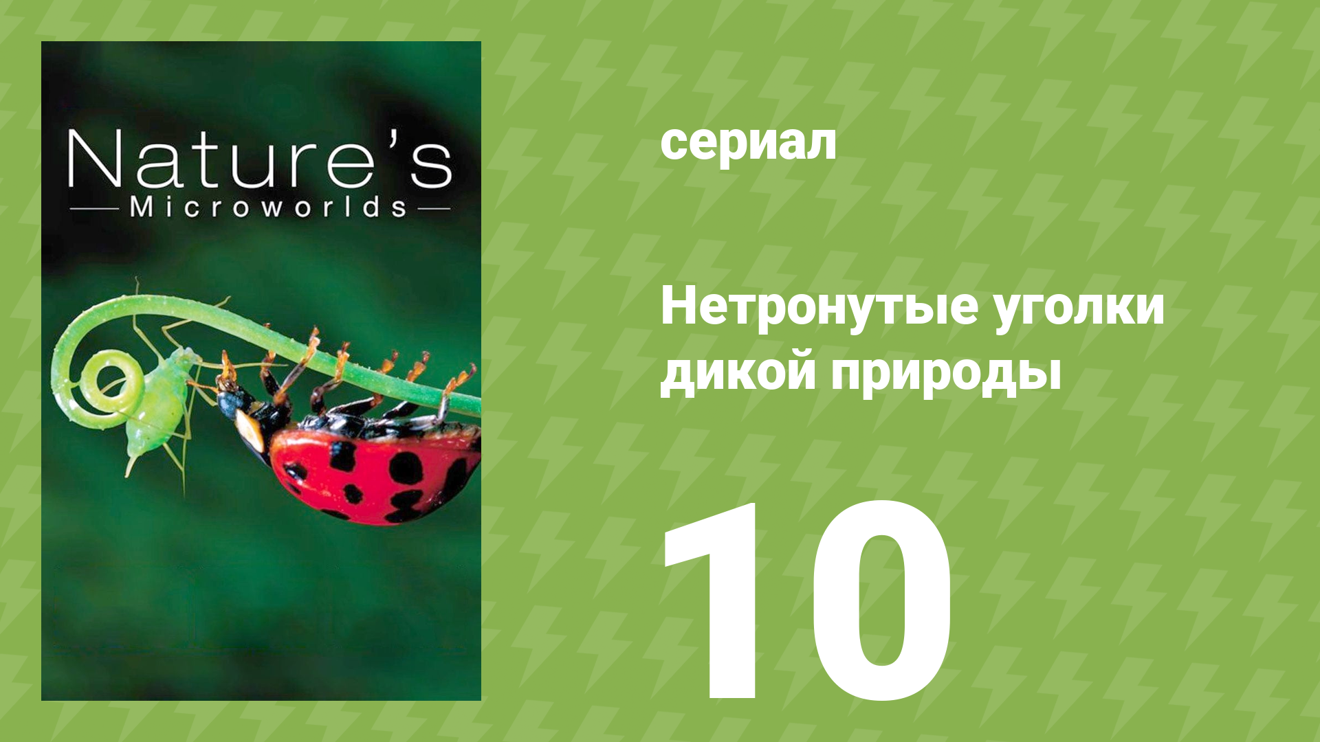 Нетронутые уголки дикой природы 10 серия «Йеллоустон» (документальный сериал, 2012)