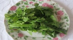 Рулет из лаваша с сулугуни