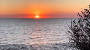 ОДЕССА 11 ОКТЯБРЯ 2025. У ТАНИ ВЫКРАЛИ СЫНА! КЛИЧКО НЕ СБИВАЕТ РАКЕТЫ! БИОТУАЛЕТЫ В РАДУ. МОЛЧАНИЕ.