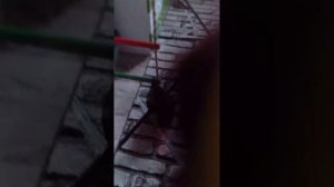 незнаю как назвать